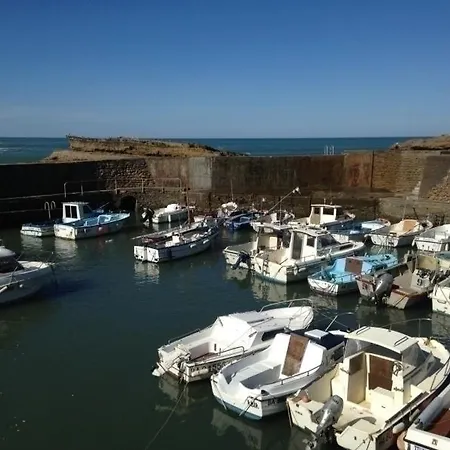 Ii Victoria Surf 8 -